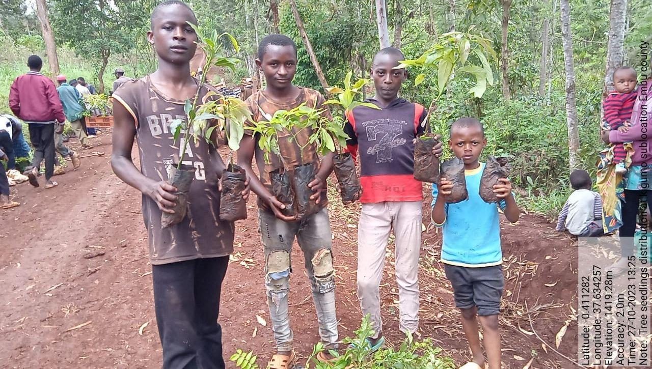 Young people holding tree seedlings
