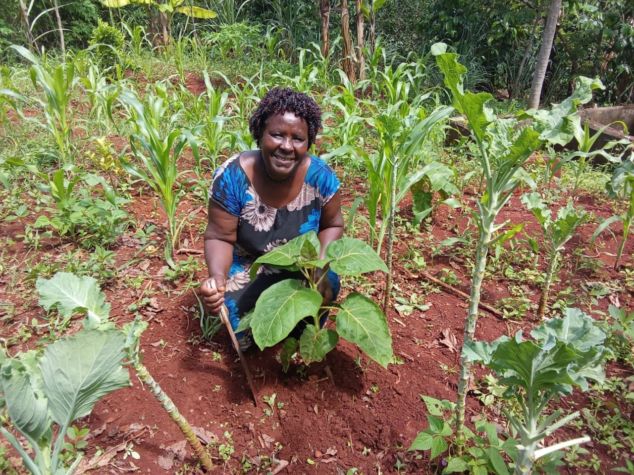 Sustainable Agriculture