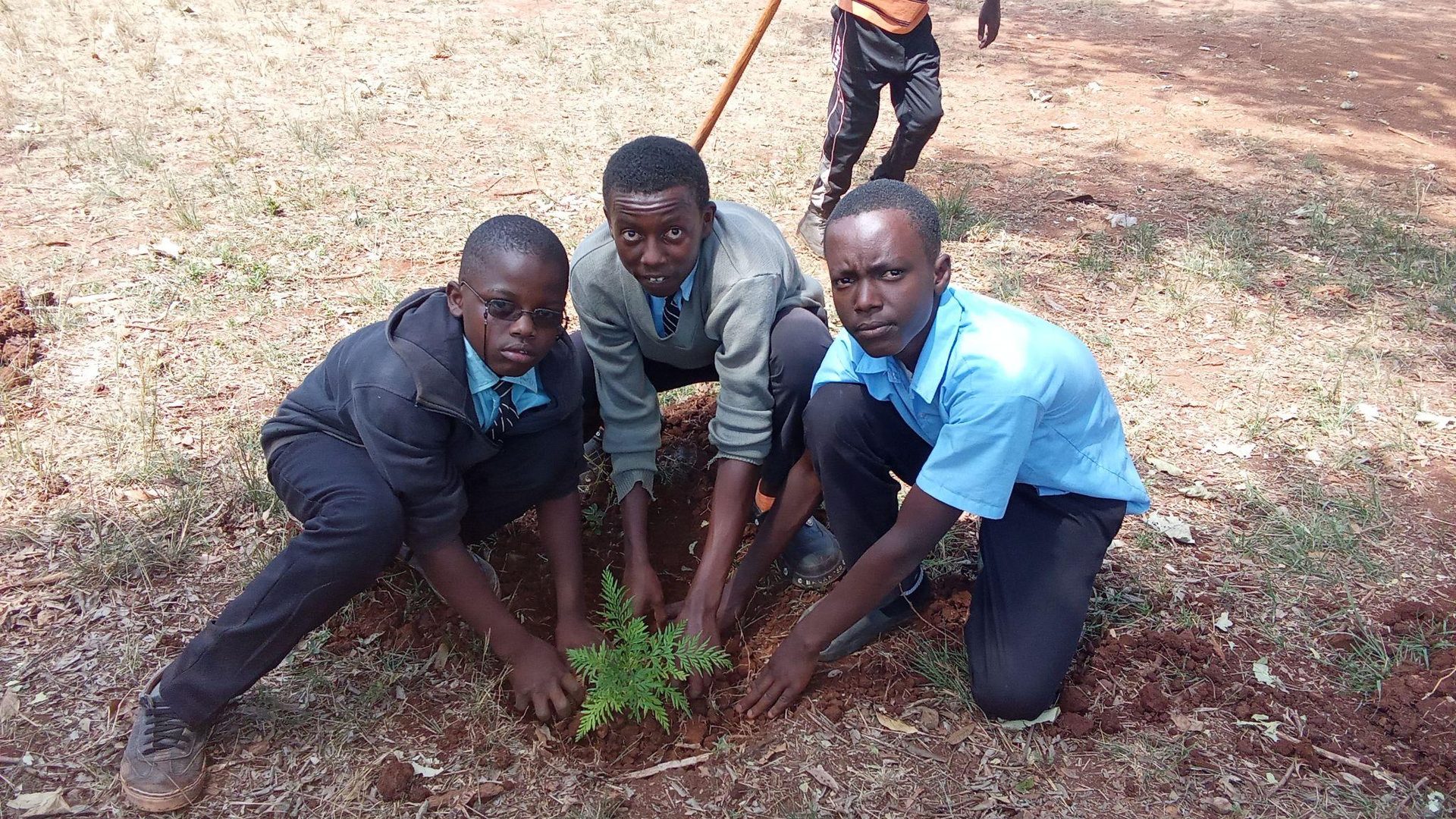 Environmental Education & Awareness