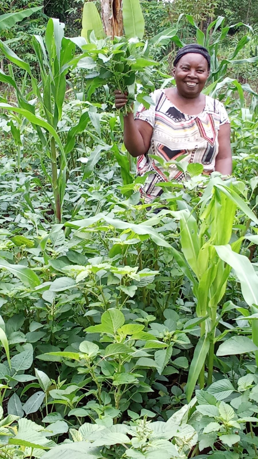 Sustainable Agriculture