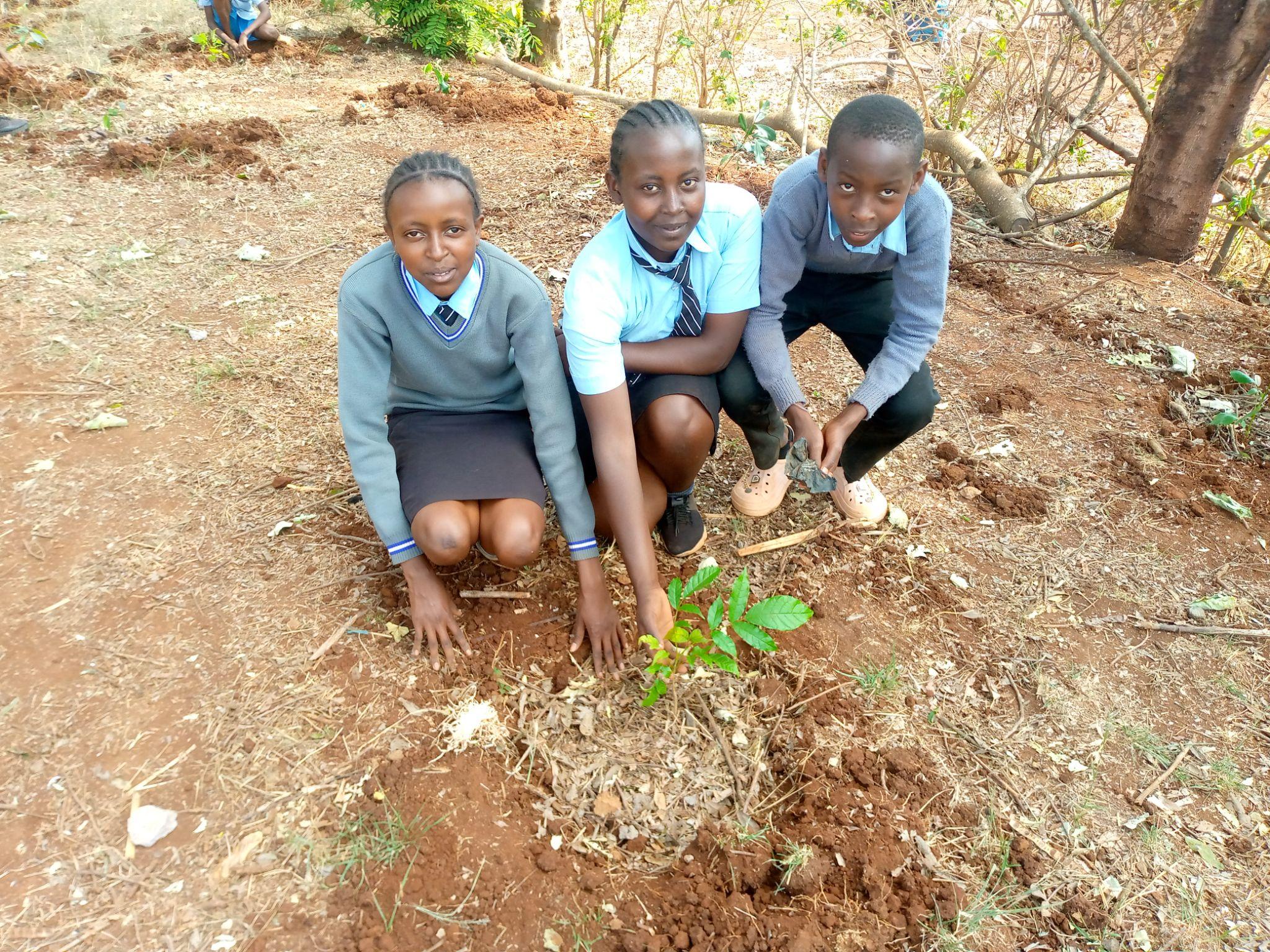 Community Tree Planting Day