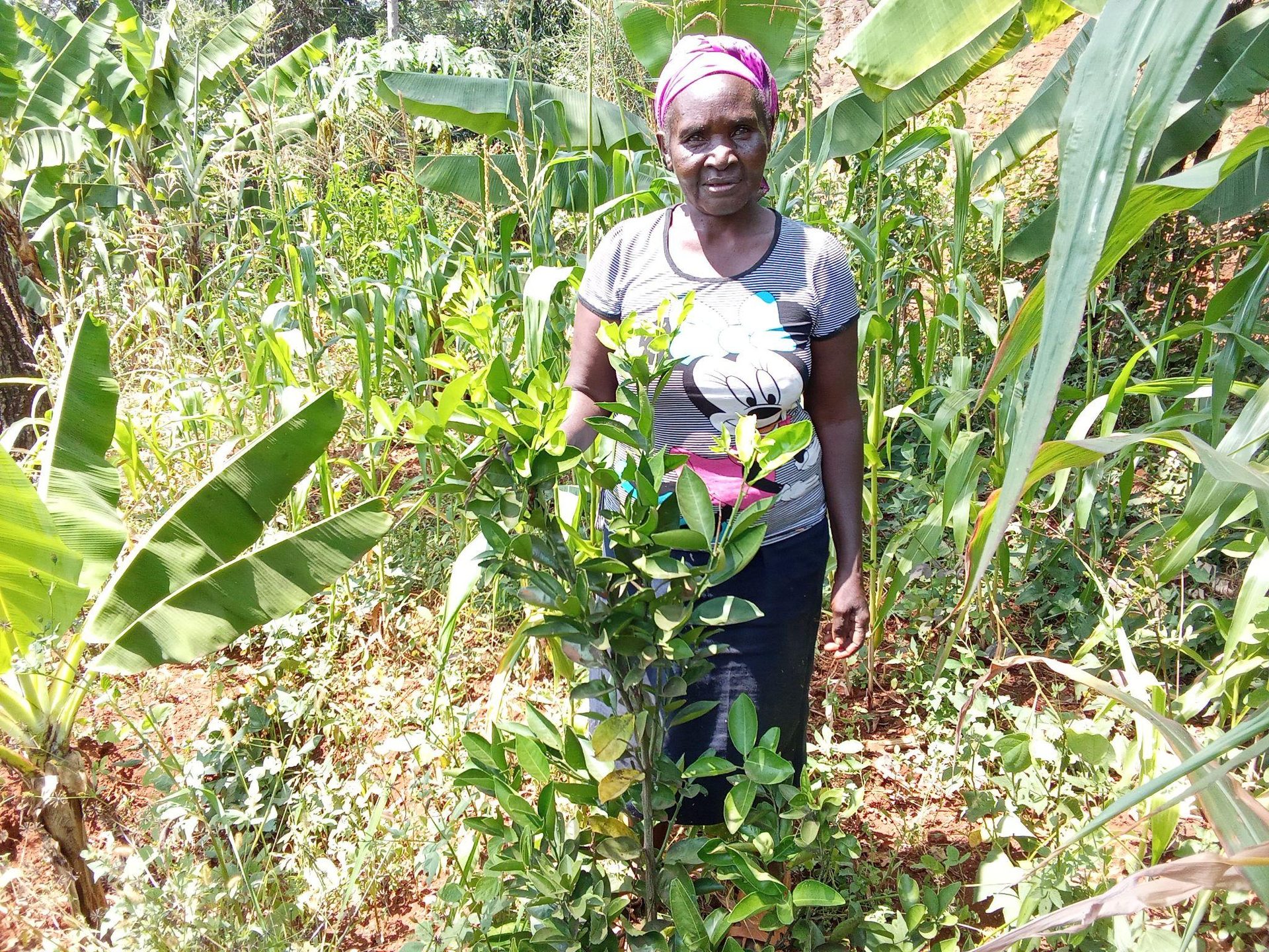 Conservation & Restoration