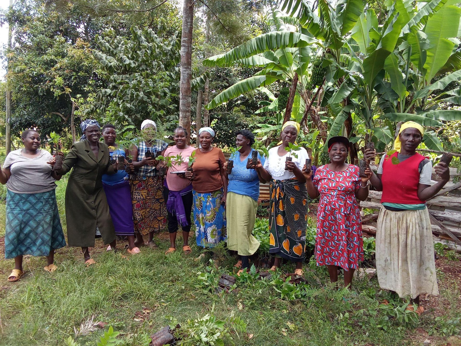 Women working together