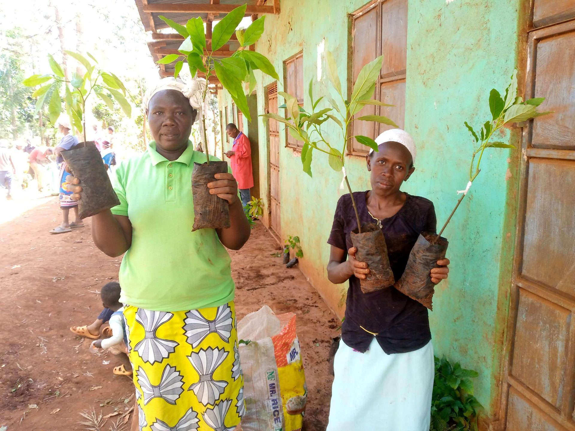 Agroforestry: Nature-Based Solutions